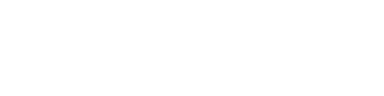 TetraFlow Logo